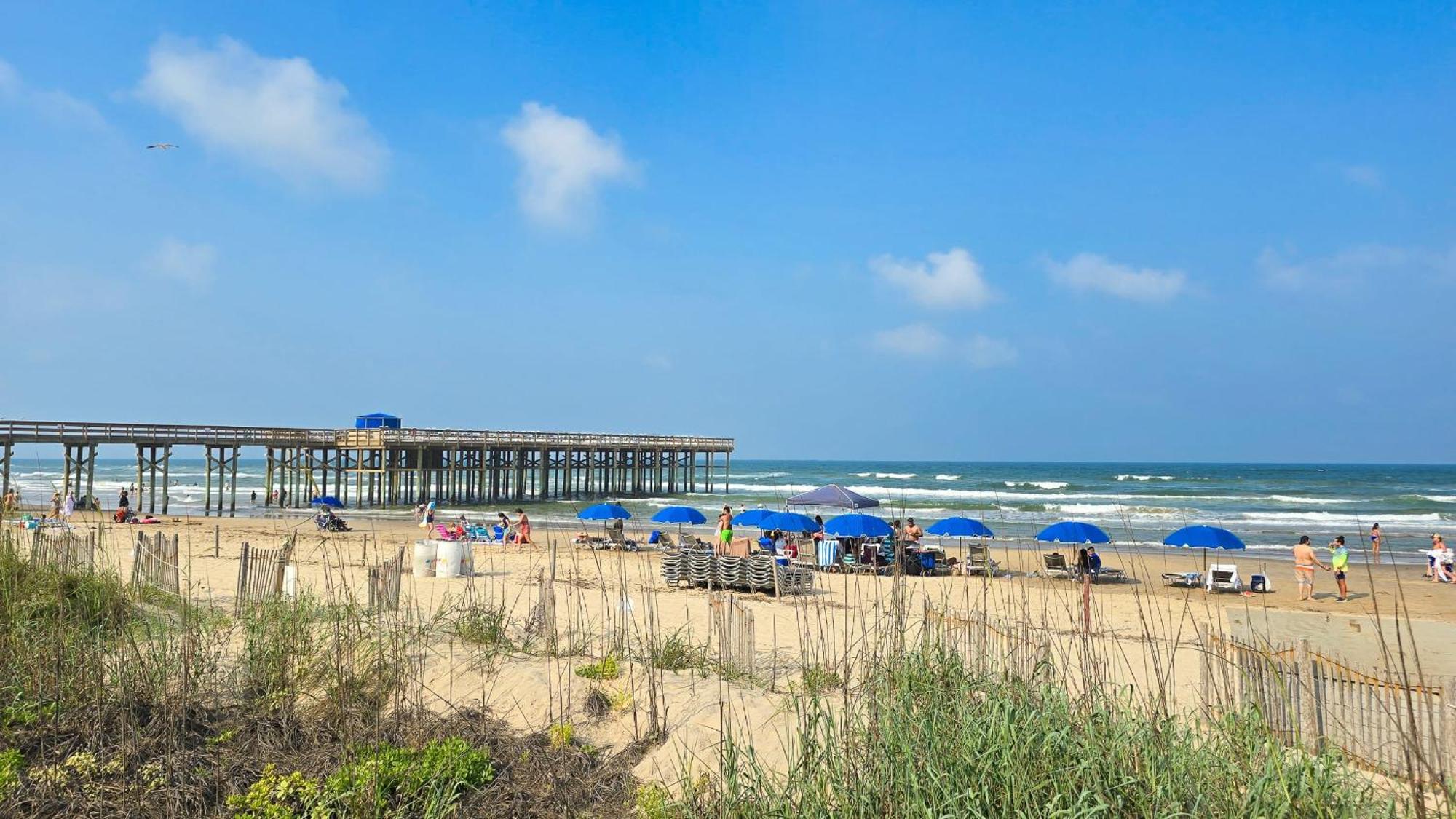 Herons Haven Coastal Elegance With Pool Access 223 South Padre Island Eksteriør billede