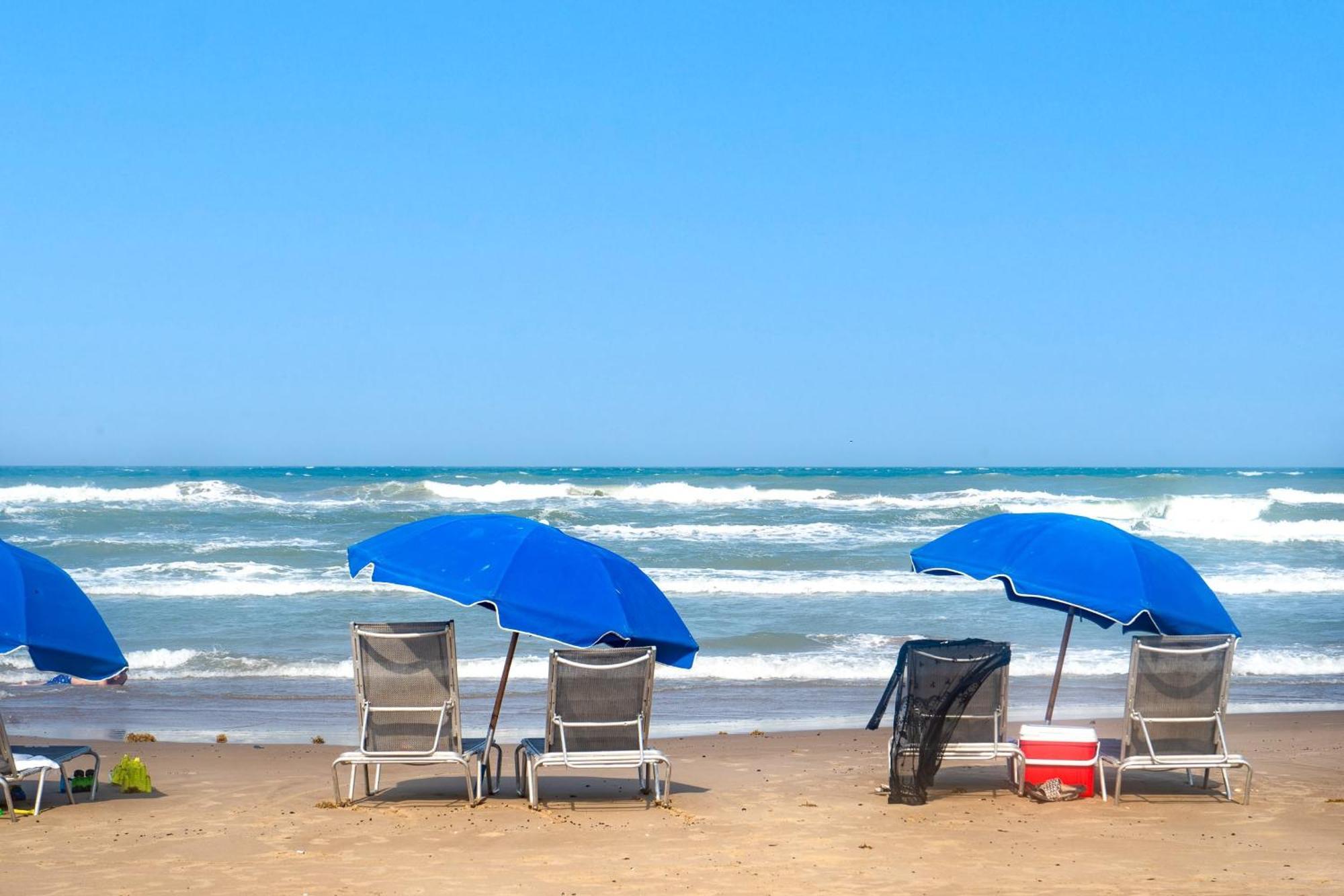 Herons Haven Coastal Elegance With Pool Access 223 South Padre Island Eksteriør billede