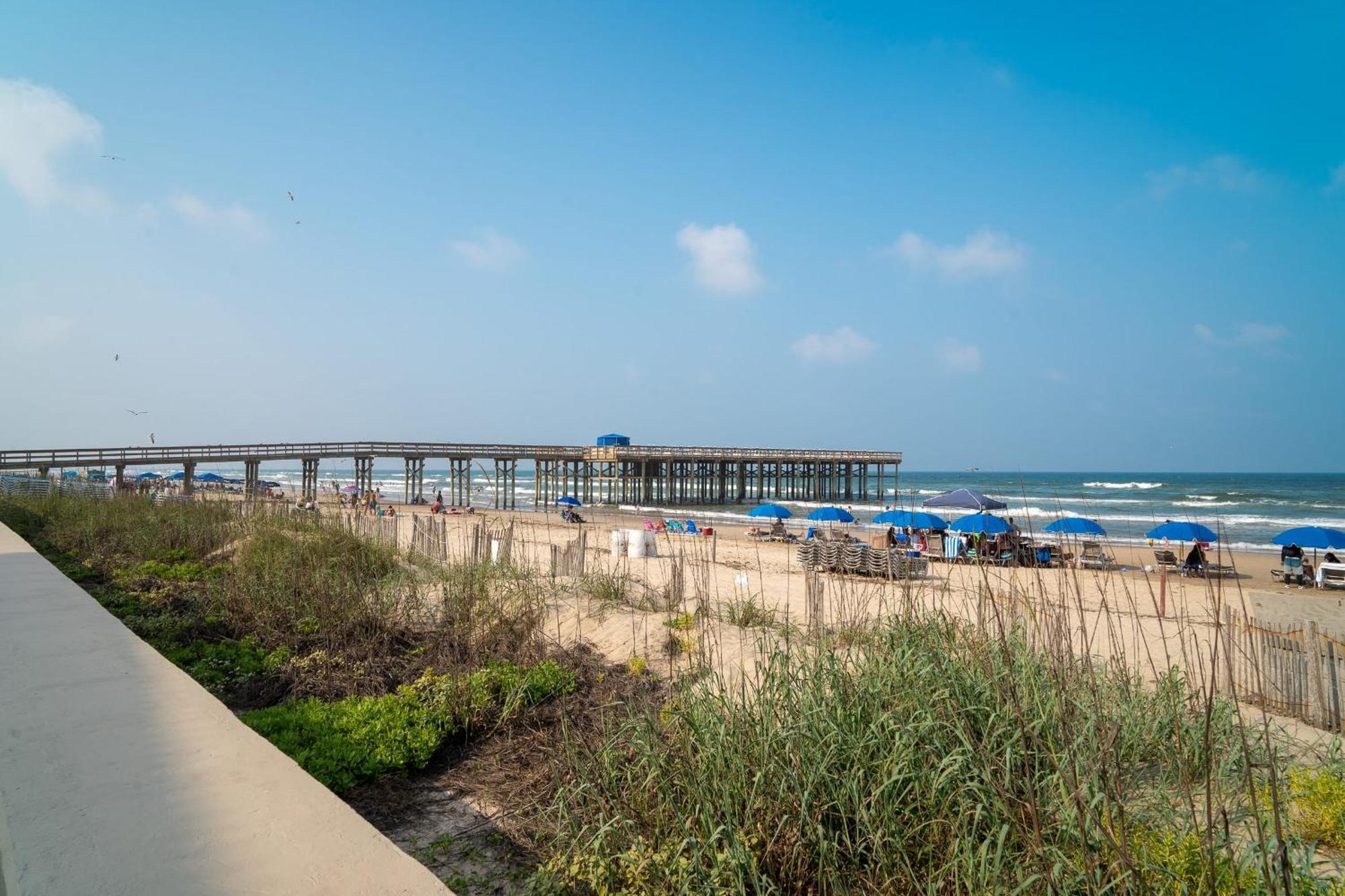 Herons Haven Coastal Elegance With Pool Access 223 South Padre Island Eksteriør billede